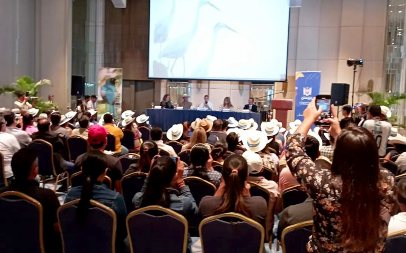 Docente de ITB participó en la elaboración de la Guía de aves de la provincia del Guayas