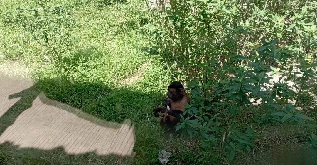 Carrera Guía Nacional de Turismo