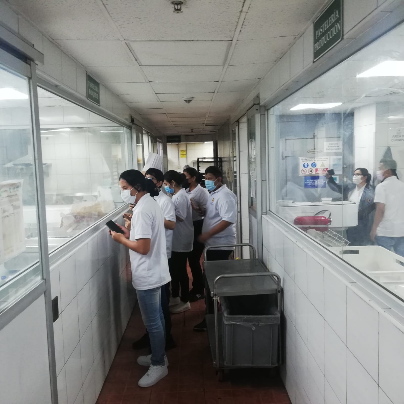 Tecnología Superior en Gatronomía