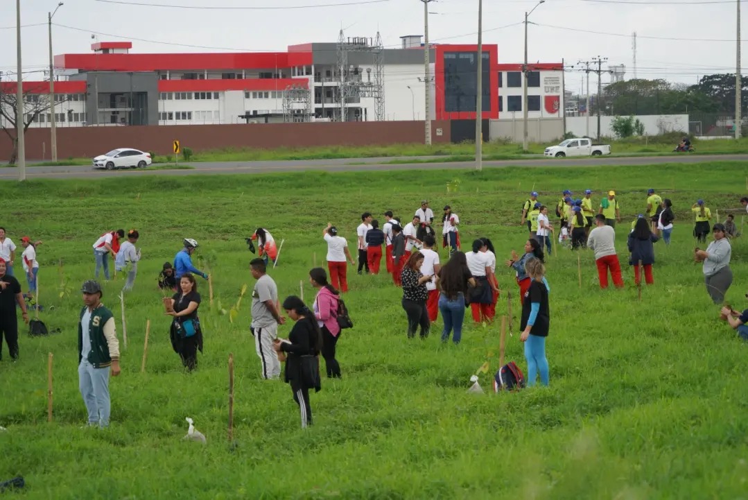 Más de 100 estudiantes de ITB participan en jornada de reforestación