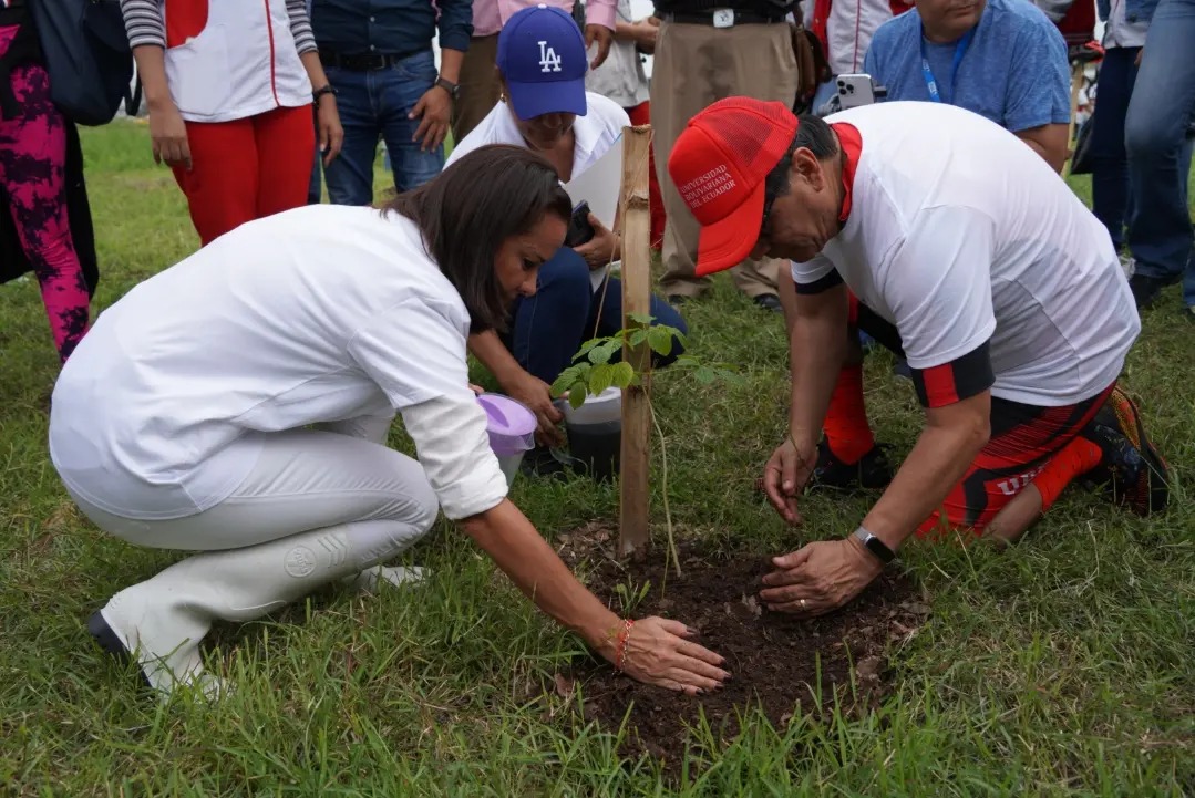 Más de 100 estudiantes de ITB participan en jornada de reforestación