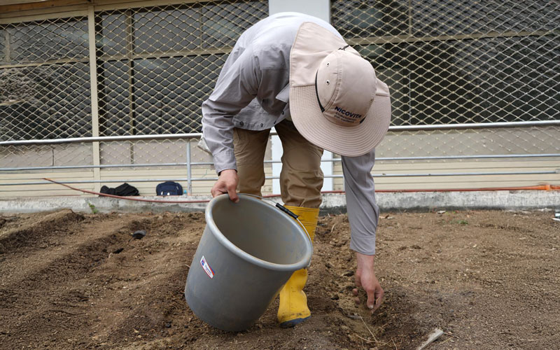 Transforma tu entorno con Agroecología