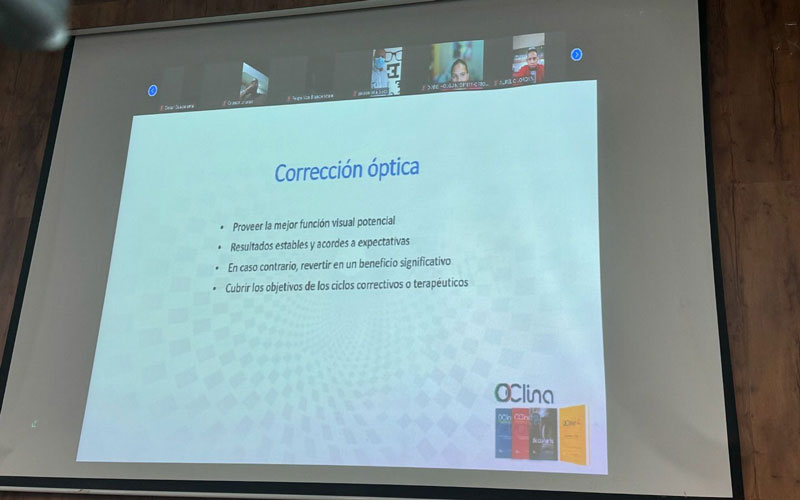 Éxito total en el webinar por el Día Mundial de la Visión Más de 200 personas participaron en el exitoso webinar