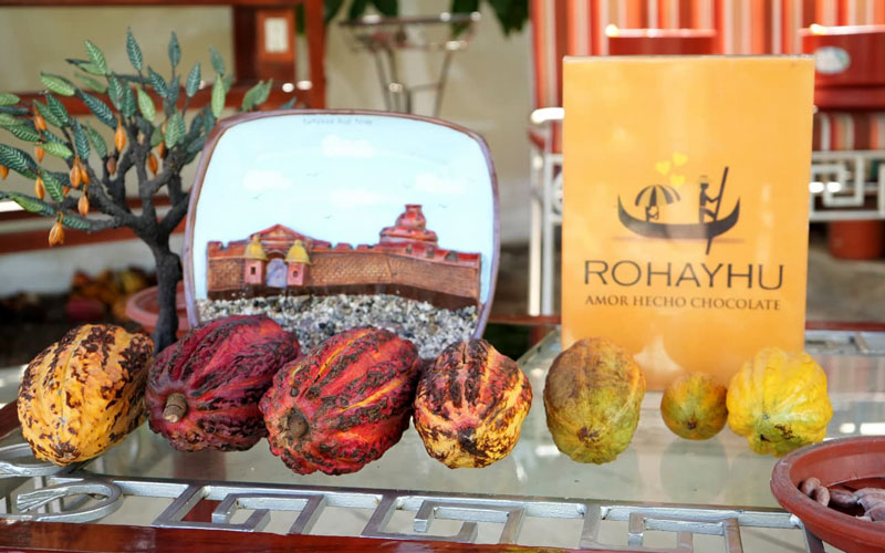 Estudiantes del ITB conocen el mundo del cacao fino de aroma en Casa de Experiencia Rohayhu