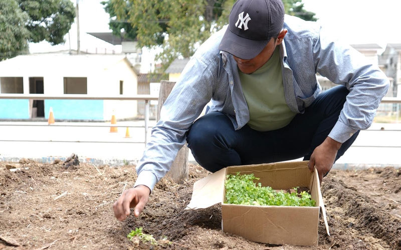 Transforma tu entorno con Agroecología
