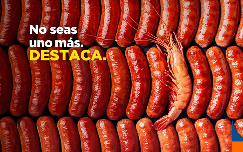 El mundo mueve ideas, y el marketing digital las hace llegar más lejos