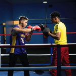 Box Training